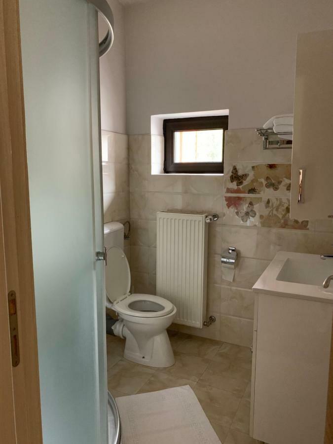 Hôtel Vila Curcubeu à Buşteni Extérieur photo